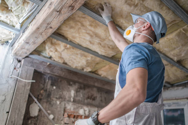Best Geographic-Specific Insulation Services in Mayfield, PA